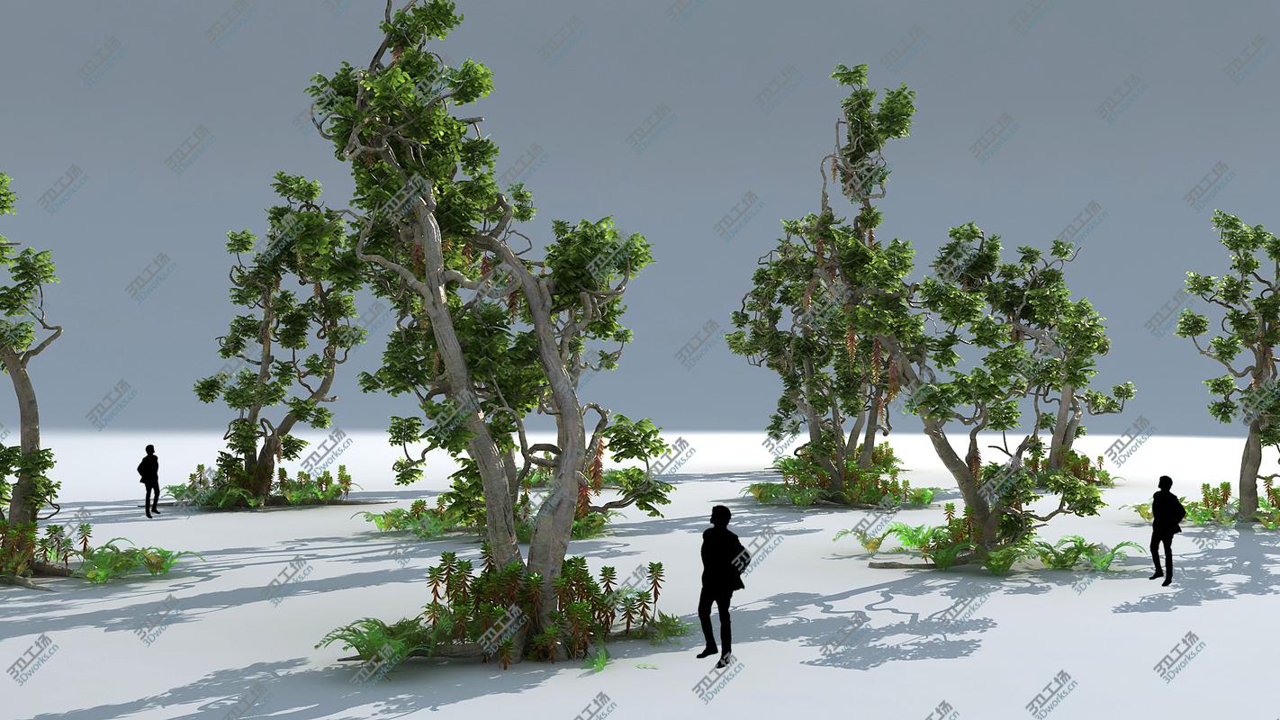 images/goods_img/2021040232/Magical Forest Pack 21/3.jpg